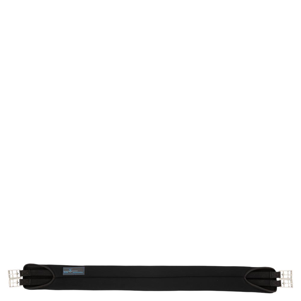 BR Evolution gjord - memoryskum - 120