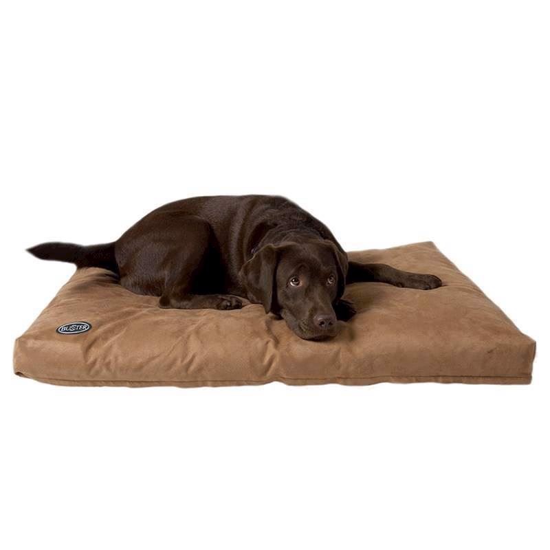 Buster Memory Foam, XL, Camel