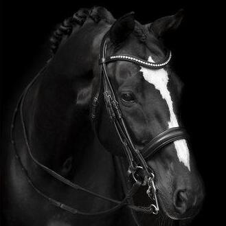 Kandar - Lippo Supreme Delicato  - Sort - Cob