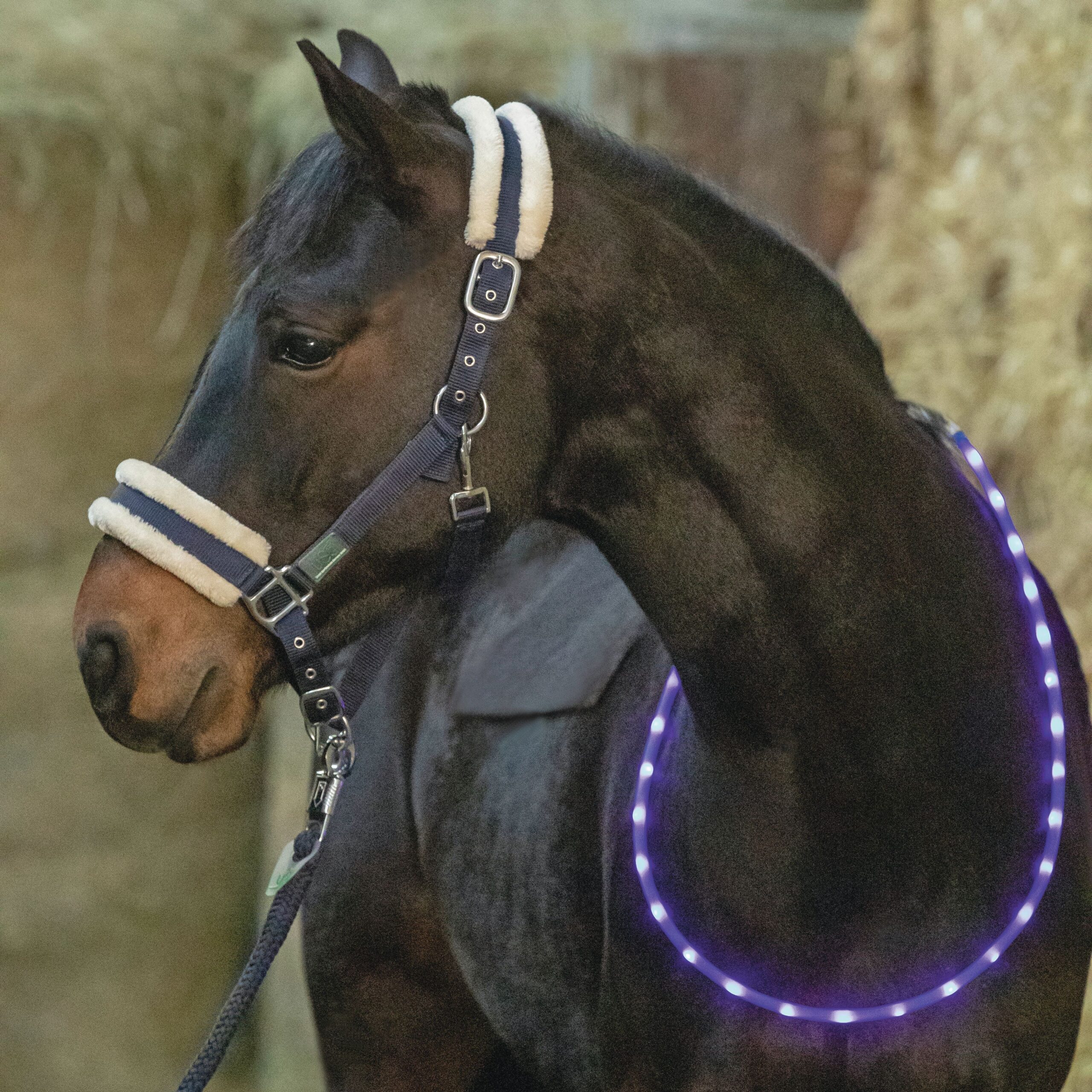 LED Halsring - Grøn