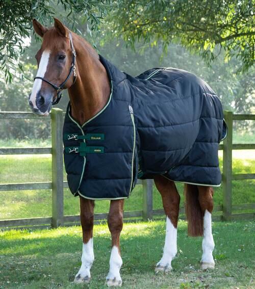 Premier Equine Lucanta Demi Stable 450g - 5,0" (115cm)