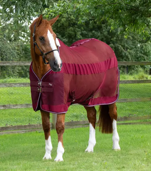 Premier Equine Arisca Scrim Cooler - Burgundy - 5,0" (115cm)