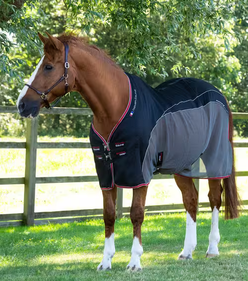 Premier Equine Sports Cooler