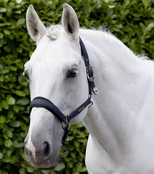 Premier Equine Duco grime sæt - Navy, Pony