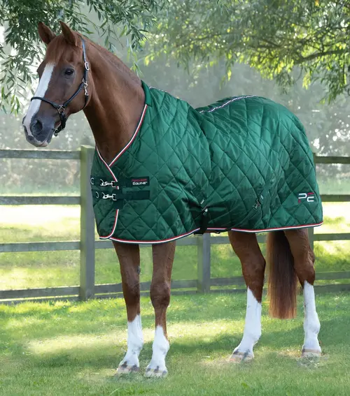 Premier Equine Tuscan stalddækken 100g - Mørkegrøn - 5,0  115cm