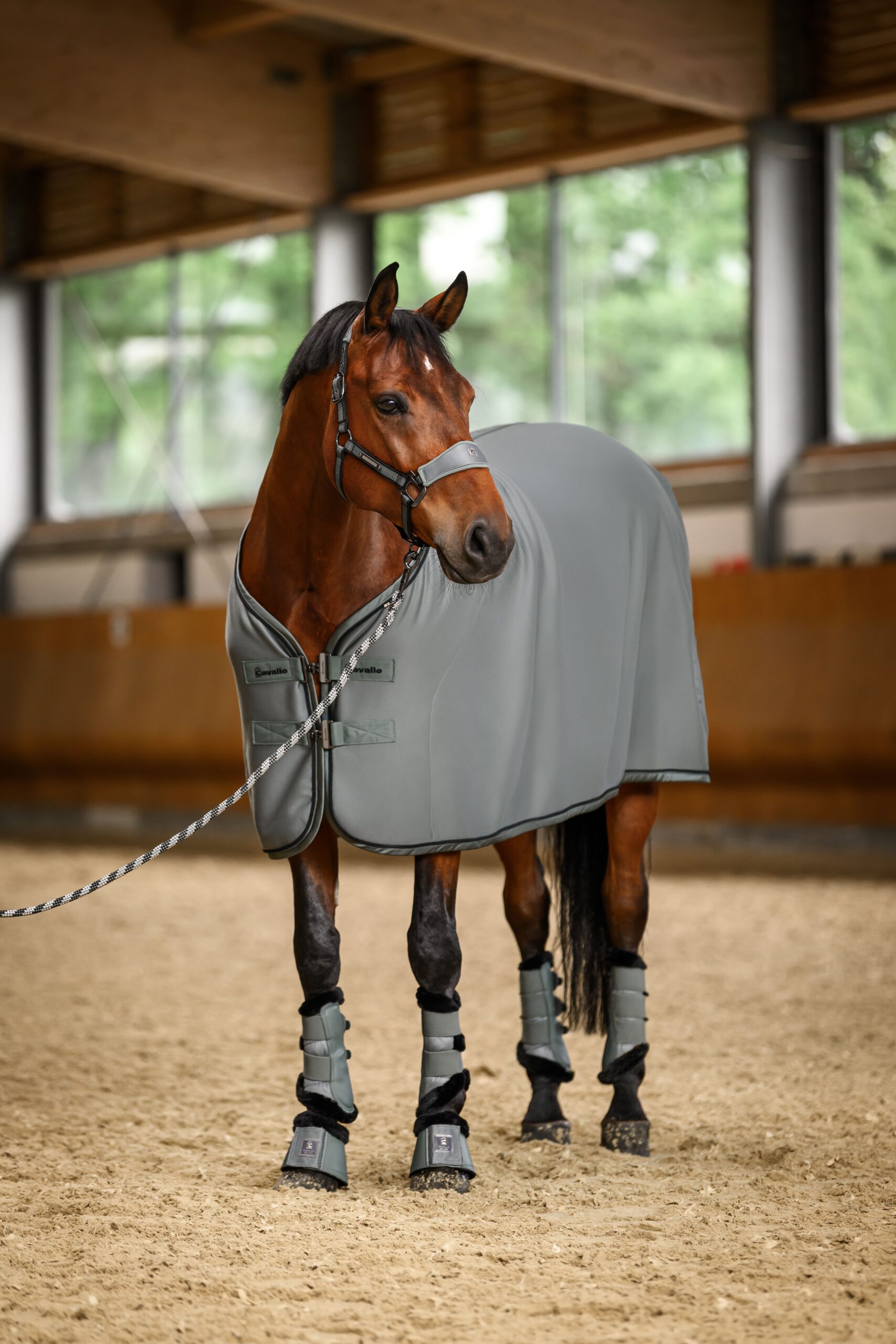 Cavallo Cavalquick Dry Cooler fleecedækken - S