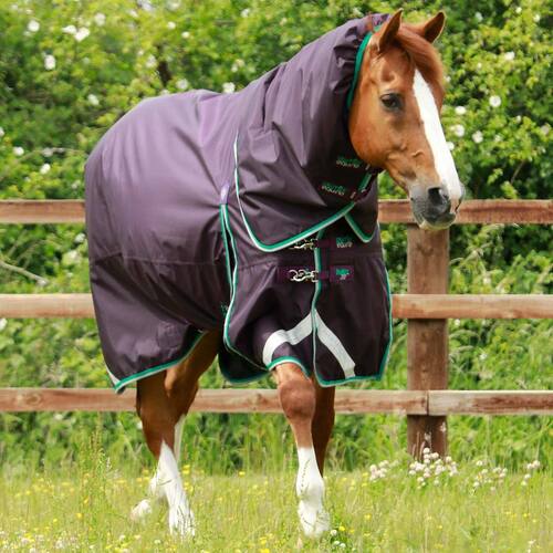 Premier Equine Buster 200g dækken med Snug Fit hals - Lilla - 5,0  115cm
