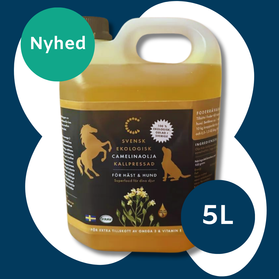 Camelina olie økologisk - 5 Liter