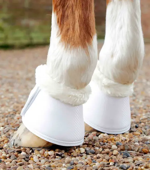 Premier Equine Carbon Tech Techno Wool klokker - hvid - Small