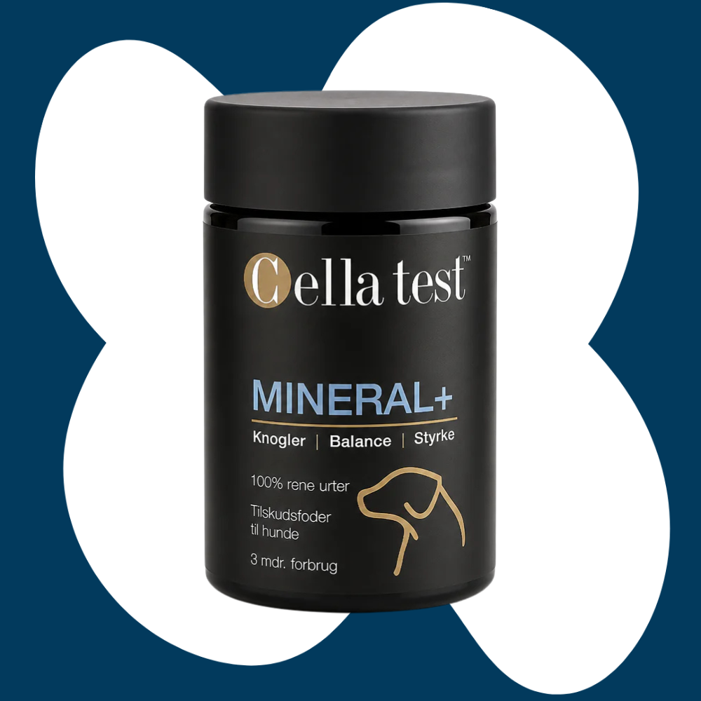 Cella Test Mineral +
