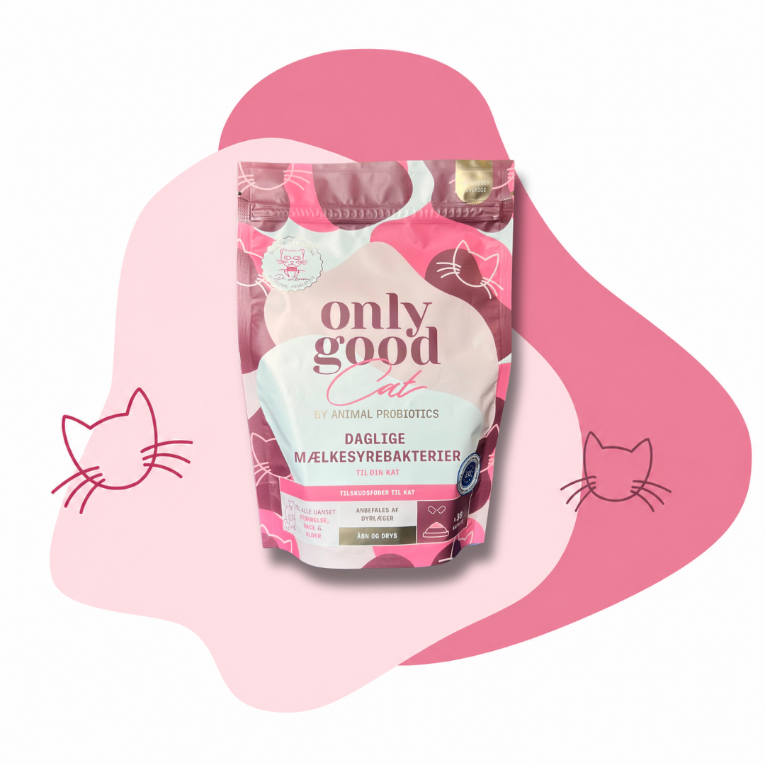 OnlyGoodCat - small pakke - 15 portioner