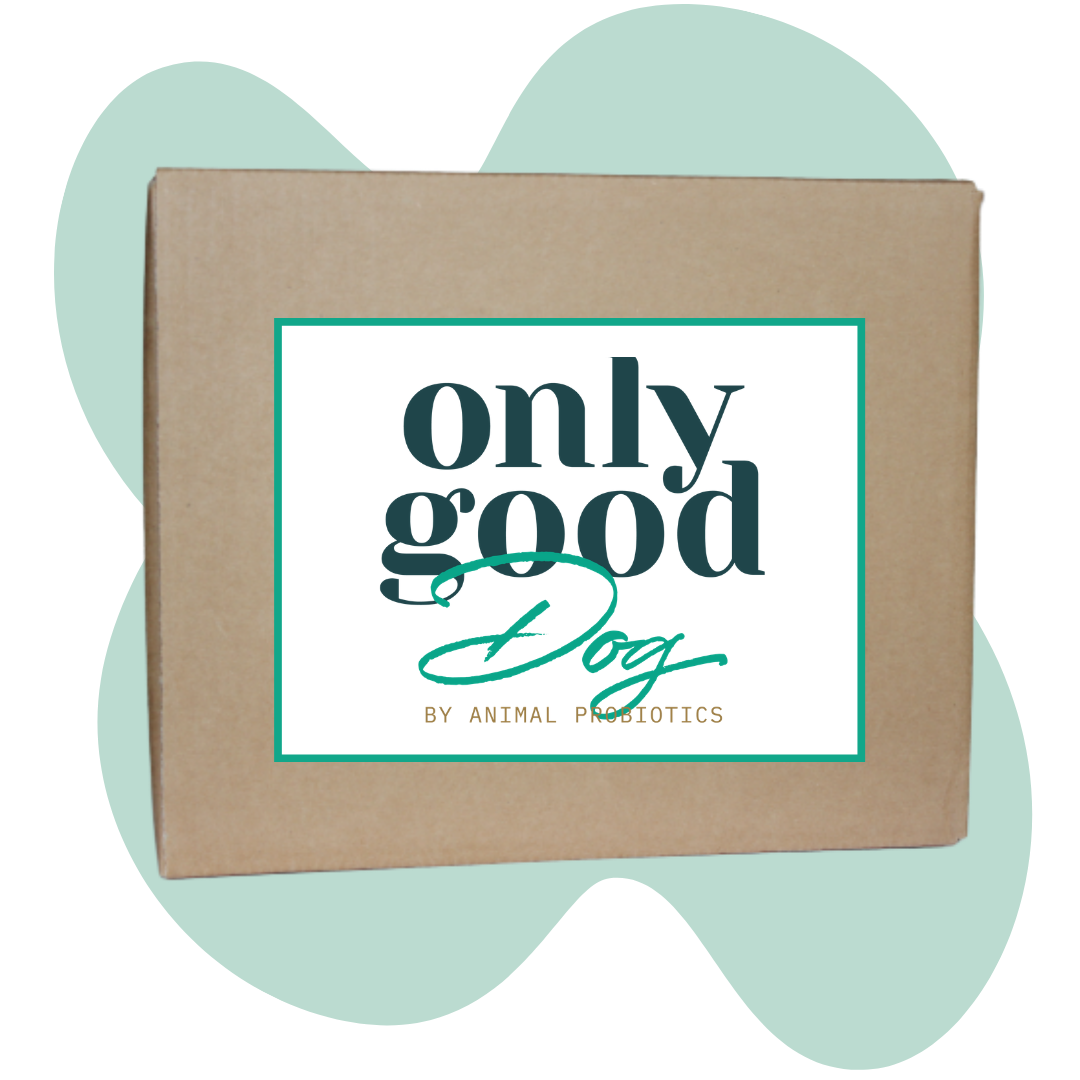 OnlyGoodDog - Mega pakke 180 portioner