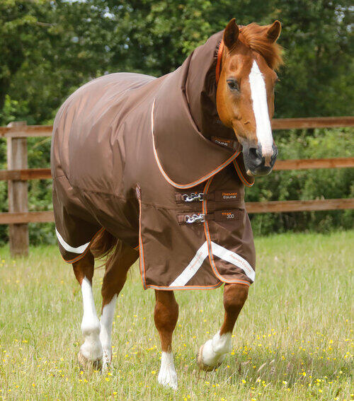 Premier Equine Titan 300g dækken - 5,0" - 115cm, Brun