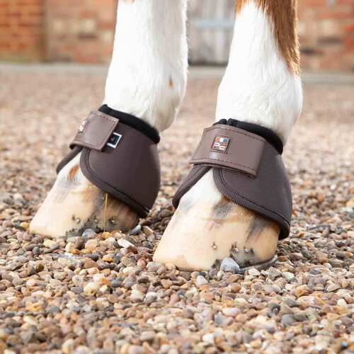 Premier Equine Ballistic No-Turn klokker - Brun/Sort - Small