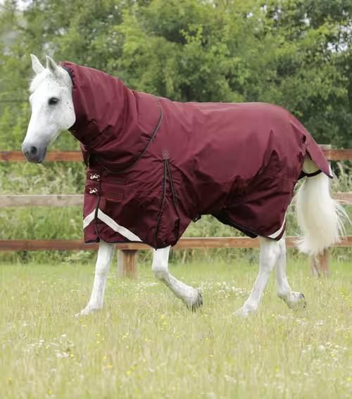 Premier Equine Buster dækken med Snug Fit hals - 400g
