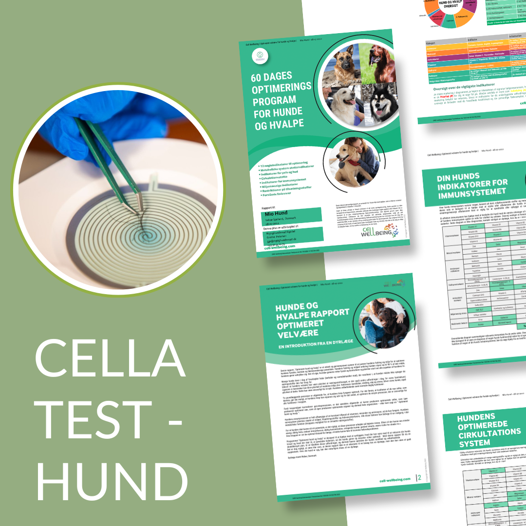 CELLA TEST - HUND - Besøg Godebakterier eller hjemmebesøg