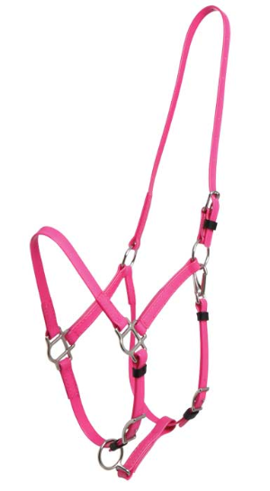 Zilco Deluxe Endurance grime - Cerise, Araber