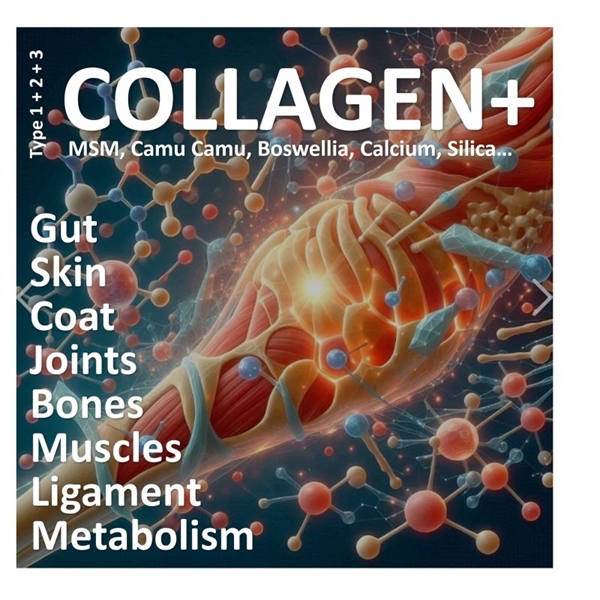 VitaPetz Collagen+, 300g