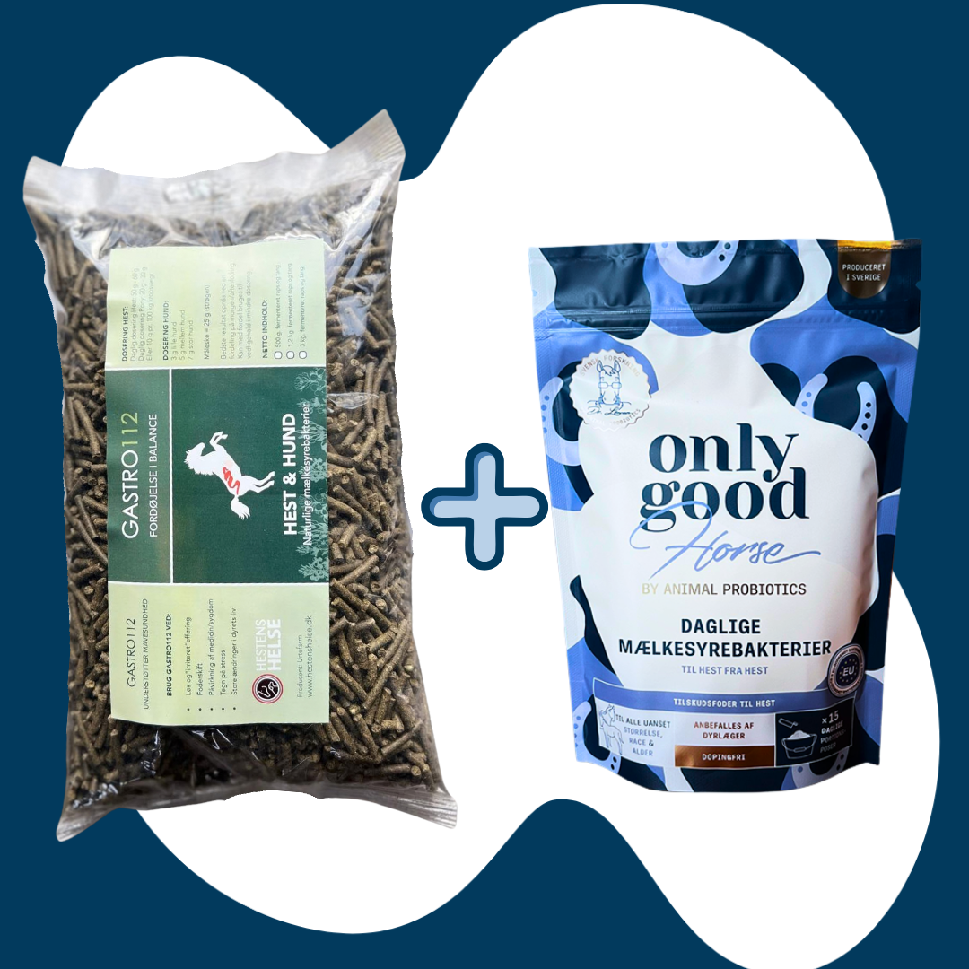 Kombipakke Gastro 112 (1 kg) & OnlyGoodHorse - Spand med låg og måleske til Gastro 112