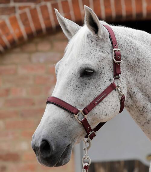 Premier Equine nylongrime med foer - Burgundy, Cob