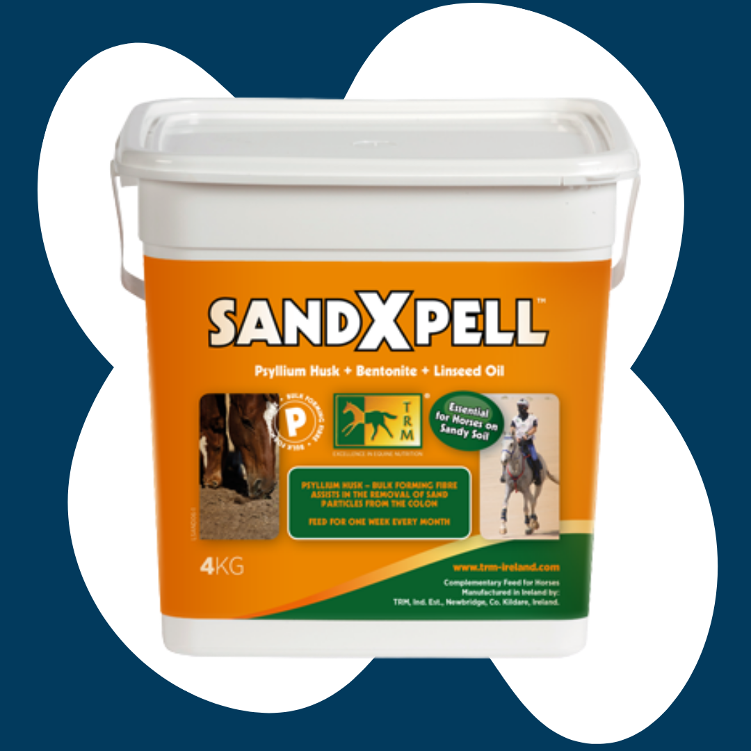 SandXpell - 4 kg